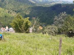 Terreno para Venda em Aparecida - 5