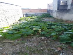 Terreno para Venda em Taubaté - 4