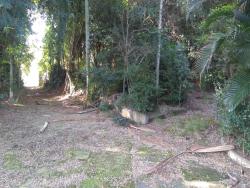 Terreno para Venda em Pindamonhangaba - 4