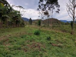 Terreno para Venda em Pindamonhangaba - 2