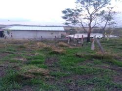 Terreno para Venda em Pindamonhangaba - 4