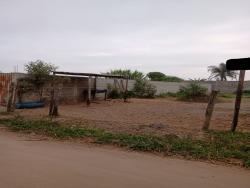 #TE1812_PAL - Terreno para Venda em Roseira - SP - 2
