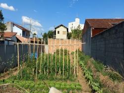 Terreno para Venda em Pindamonhangaba - 5