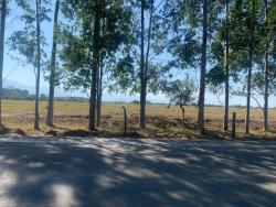 Terreno para Venda em Potim - 5
