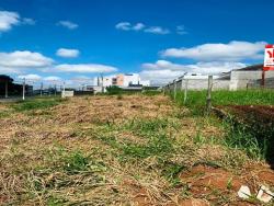 Terreno para Venda em Pindamonhangaba - 4