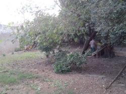 Terreno para Venda em Pindamonhangaba - 4