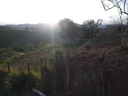 Terreno para Venda em Lagoinha - 5