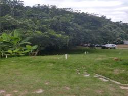 Venda em Centro - Paraty