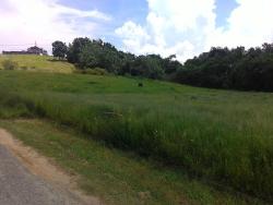 Terreno para Venda em Pindamonhangaba - 3