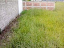 Terreno para Venda em Pindamonhangaba - 2