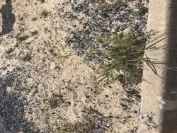 Terreno para Venda em Pindamonhangaba - 4