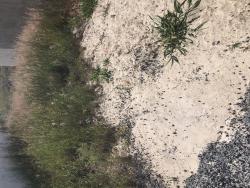 Terreno para Venda em Pindamonhangaba - 5
