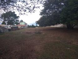 #TE2145_PAL - Terreno para Venda em Roseira - SP - 2
