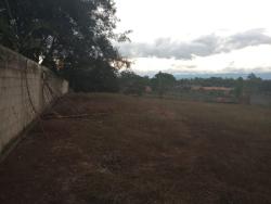#TE2145_PAL - Terreno para Venda em Roseira - SP - 3