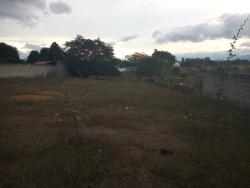 Terreno para Venda em Roseira - 5