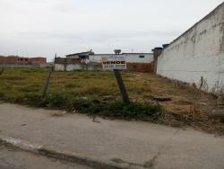 #TE2151_PAL - Terreno para Venda em Potim - SP - 2