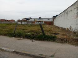 #TE2151_PAL - Terreno para Venda em Potim - SP - 3