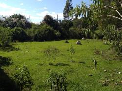 Terreno para Venda em Pindamonhangaba - 4