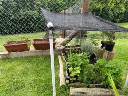 #TE2168_PAL - Terreno em condomínio para Venda em Tremembé - SP - 2
