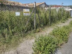 #TE2213_PAL - Terreno para Venda em Aparecida - SP - 1