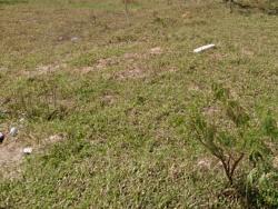 Terreno para Venda em Pindamonhangaba - 2