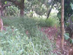 Terreno para Venda em Pindamonhangaba - 3