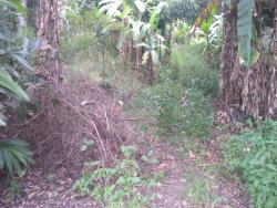 Terreno para Venda em Pindamonhangaba - 4