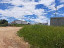 #TE2424_PAL - Terreno para Venda em Tremembé - SP - 3