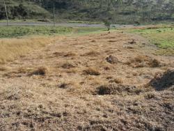 Venda em Caixa D'água - Taubaté