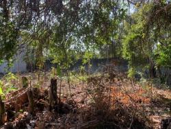 Terreno para Venda em Pindamonhangaba - 3