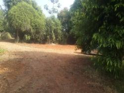 Terreno para Venda em Pindamonhangaba - 2