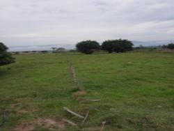 #TE2762_PAL - Terreno para Venda em Roseira - SP - 1