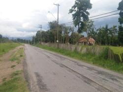 #TE2865_PAL - Terreno para Venda em Potim - SP - 1