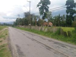 #TE2865_PAL - Terreno para Venda em Potim - SP - 3