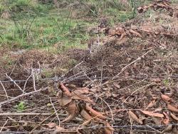 Terreno para Venda em Pindamonhangaba - 3