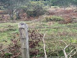 Terreno para Venda em Pindamonhangaba - 5