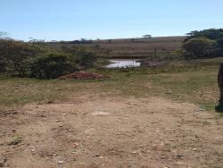 #TE3016_PAL - Terreno para Venda em Guaratinguetá - SP - 1