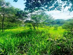 Terreno para Venda em Pindamonhangaba - 4