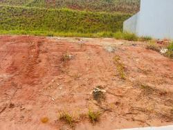 #TE3124_PAI - Terreno para Venda em Roseira - SP - 1