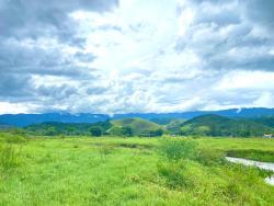Venda em Ribeirão Grande - Pindamonhangaba