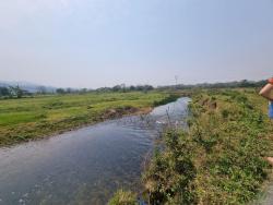 #TE3146_PAI - Terreno para Venda em Pindamonhangaba - SP