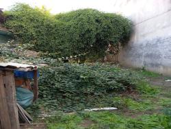 Venda em Frei Galvão - Potim
