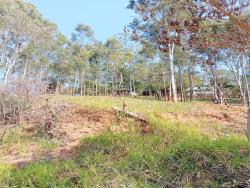 #TE3149_PAI - Terreno para Venda em Guaratinguetá - SP - 1