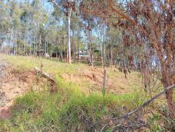 #TE3149_PAI - Terreno para Venda em Guaratinguetá - SP - 3