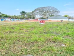#TE3193_PAI - Terreno para Venda em Potim - SP - 3