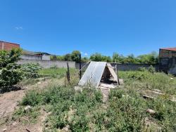 #TE3199_PAI - Terreno para Venda em Roseira - SP - 3