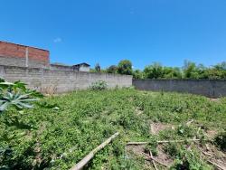 #TE3200_PAI - Terreno para Venda em Roseira - SP - 2