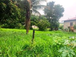 #TE3213_PAI - Terreno para Venda em Pindamonhangaba - SP - 2