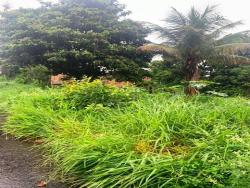 Terreno para Venda em Pindamonhangaba - 5