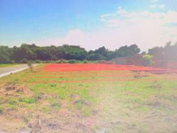 #TE3245_PAI - Terreno para Venda em Pindamonhangaba - SP - 1